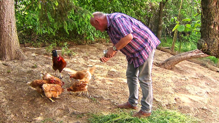 Hierzuland Buborn, Mann füttert Hühner