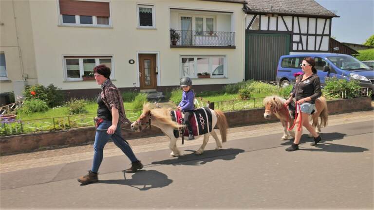 Hierzuland Asbach Ponies