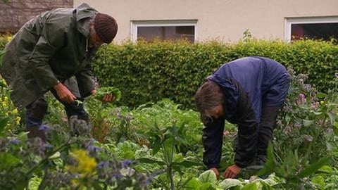 Ein Paradies für Selbstversorger