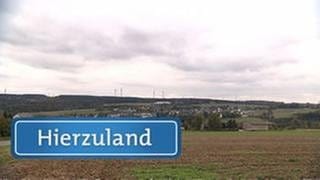 Pfalzfeld