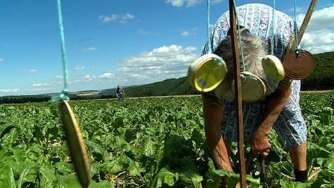 Landwirte bei der Arbeit