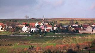 Ortsansicht von Mölsheim