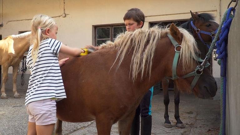 Kinder beim Pferde striegeln - im Reitstall von Vera Fischer