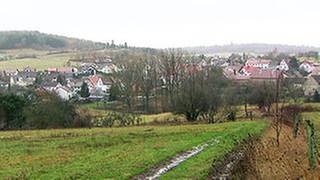 Ortsansicht von Schneckenhausen