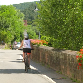 Altleiningen Hauptstraße