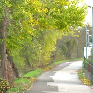 Laubenheim Weidenpfad