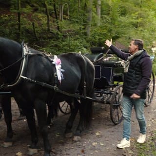 Holger unterwegs mit der Pferdekutsche