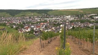 Blick auf die Stadt Bad-Neuenahr-Ahrweiler