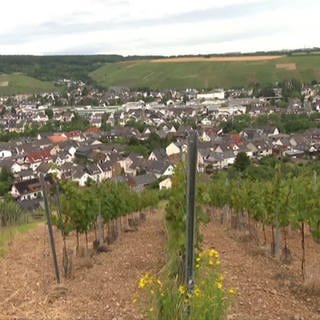 Blick auf die Stadt Bad-Neuenahr-Ahrweiler