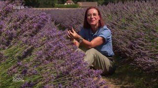 Wetterreporterin Ulrike Nehrbaß im Lavendelfeld