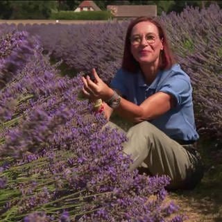 Wetterreporterin Ulrike Nehrbaß im Lavendelfeld
