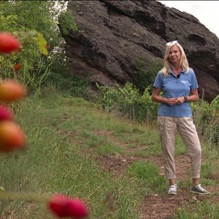 Wetterreporterin Kathrin Illig