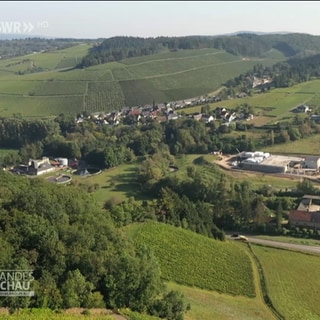 Dorf umringt von Weinbergen