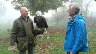 Wetter-Reporter Markus Bundt mit Greifvogel