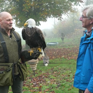 Wetter-Reporter Markus Bundt mit Greifvogel