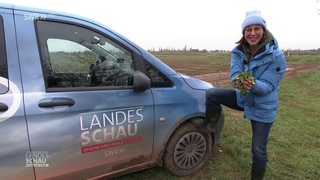 Wetter-Reporterin Ulrike Nehrbaß