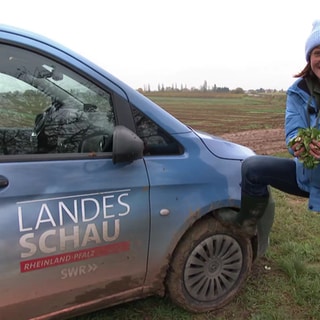 Wetter-Reporterin Ulrike Nehrbaß