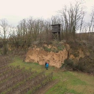 Drohnenaufnahme einer Lösswand