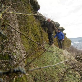 Aus der vulkanischen Ära der Eifel: Der Wöllersberg