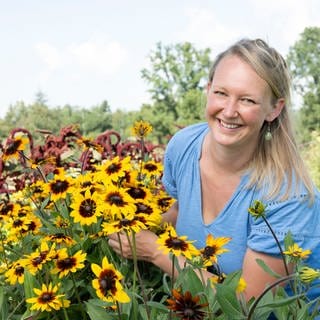 Am Hof von Anna Pröbstle im Bodensee-Kreis dreht sich alles um Artenvielfalt. Wildblumen spielen in allen Betriebsbereichen eine entscheidende Rolle.