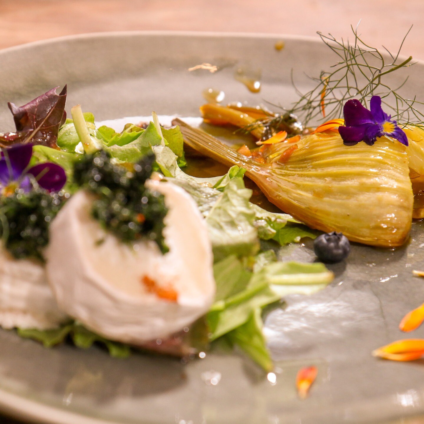 Gedünsteter Fenchel an Blattsalat und Ziegenkäse mit Rote-Beete-Püree ...