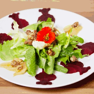 Rote Beete Carpaccio mit Blattsalat