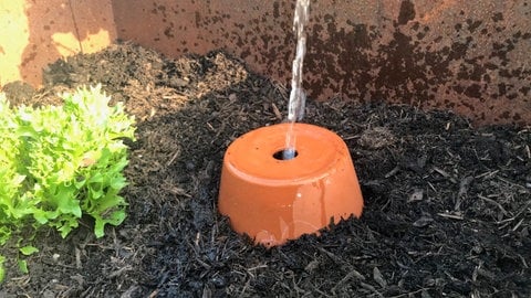 Wasser Sparen Beim Giessen Mit Olla Im Garten Marktcheck Swr Fernsehen Swr