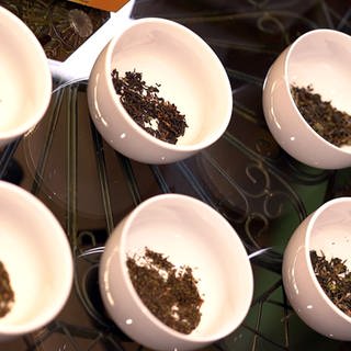 Sechs Teeschalen mit Teeblättern - drei Tee-Hersteller im Check: Dreimal loser Darjeeling im Vergleich zu dreimal Beuteltee mit Darjeeling.