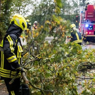 Ein Feuerwehrmann räumt Teile eines Baums von der Fahrbahn. Mit Sturmtief "Ignatz" zieht der erste starke Herbststurm über Deutschland und hinterlässt Schäden. Welche Versicherung zahlt was?