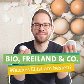 Ökochecker Tobi hält zwei unterschiedliche Eier in der Hand. Er fragt sich, welche Eier aus Umwelt- und Tierwohlsicht die beste Wahl sind.