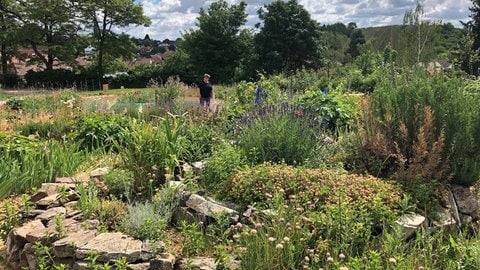 Im Garten von Lore Gräff aus Waldlaubersheim liegen ordentliches Gemüsebeet und wild wachsende Blumenbeete gleich nebeneinander.