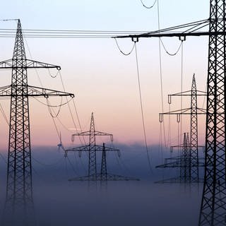 Strommasten in Baden-Württemberg. Gezielt Strom abschalten, um zu sparen: Frankreich geht der Strom aus, im Winter muss Energie gespart werden. Was der Südwesten tut, um Stromausfälle bei den Nachbarn zu vermeiden.