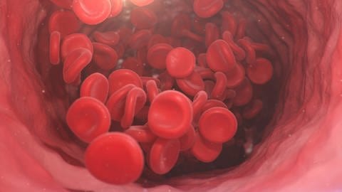 Animiertes Blutgerinnsel. Rote Blutplättchen stauen sich an.