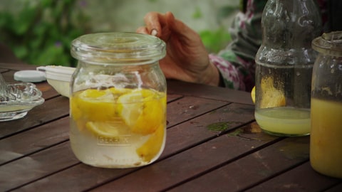 Zitronenjauche herstellen: Einfaches Rezept: Zitronenschale in Wasser ansetzen. Die ätherischen Öle vertreiben zum Beispiel Ameisen.