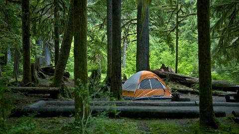 Orange-silberfarbenes Zelt steht in einem Wald auf einem Grill-Campingplatz. Wie ist man auf Reisen mit Wohnmobil und Camper möglichst nachhaltig unterwegs?