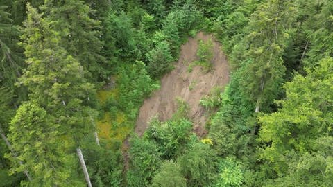 Ein Hangrutsch auf der Schwäbischen Alb ist eindeutig zu erkennen.