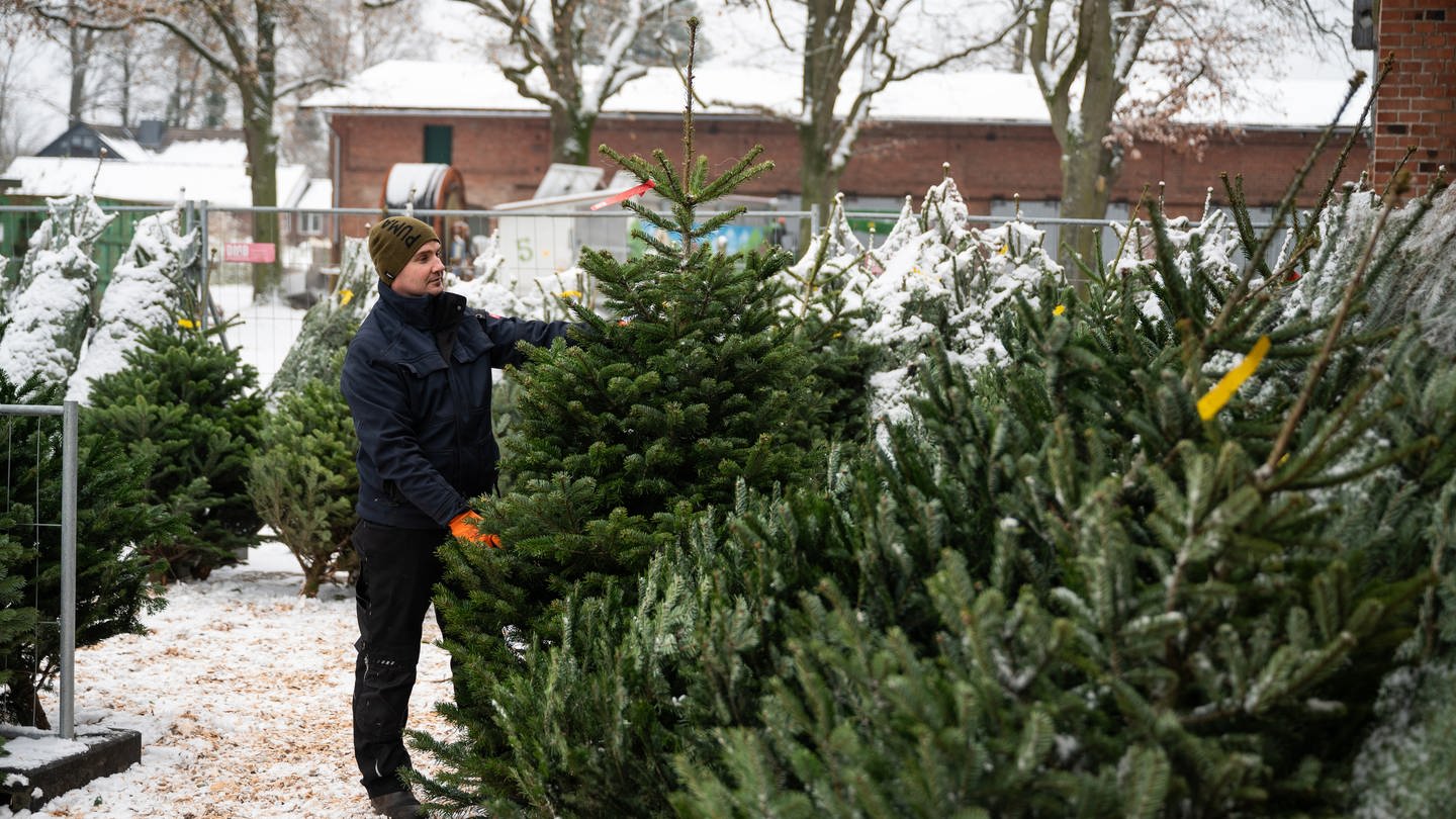 Verkauf Weihnachtsbäume