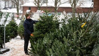 Verkauf Weihnachtsbäume