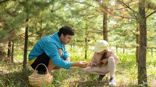 Vater und Tochter sammeln Pilze im Wald.