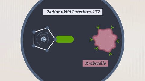 Funktionsweise der PSMA-Therapie. Links ist das Radionuklid Lutetium-177 zu sehen, rechts die Krebszelle mit den Stellen, an die angedockt wird.