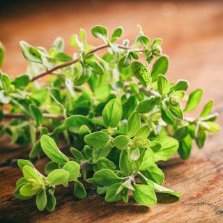 Frischer Majoran liegt auf einem Tisch. Wie gesund ist die Heilpflanze?