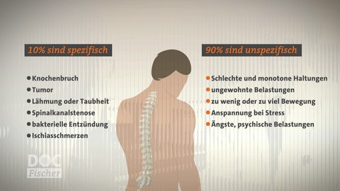 Grafik: Was sind mögliche Ursachen für chronsiche Rückenschmerzen?