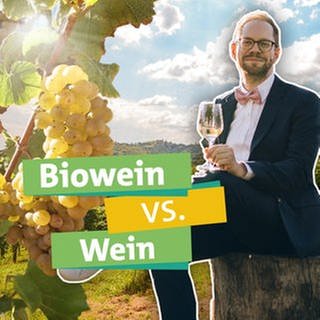 Ökochecker Tobias Koch genießt in den Wenbergen ein Glas Wein: Bio-Wein oder Wein aus konventioneller Herstellung - welche Herstellungsweise ist nachhaltiger?