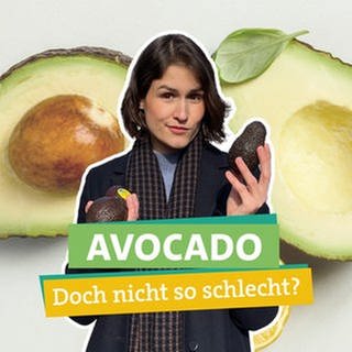 Katharina Röben hälte eine halbe Avocado und ist in dieser Folge auf der Suche nach der umweltfreundlichsten Avocado.
