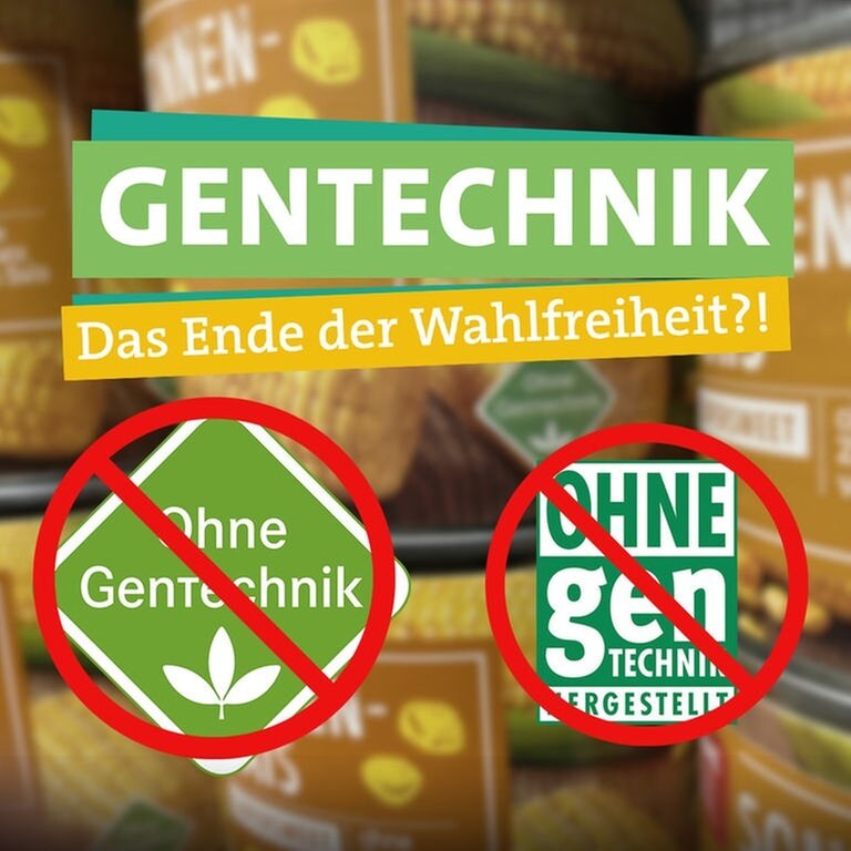 Steckt Bald In Allen Lebensmitteln Gentechnik? - Marktcheck - TV