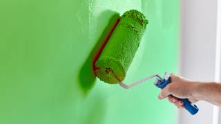 Person streicht mit Farbrolle eine Wand in einem hellgrünen Farbton.