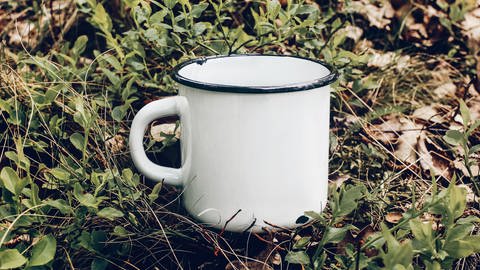 Eine weiße Tasse mit schwarzem Rand aus dem Material Emaille liegt  auf einem grünen Waldboden.