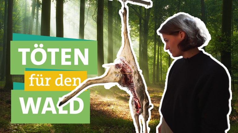 Schriftzug "Töten für den Wald" dahinter im Hintergrund ein Wald, davor freigestellt ist kopfüber hängendes, geschossenes Wild und daneben Host Katharina Röben. 