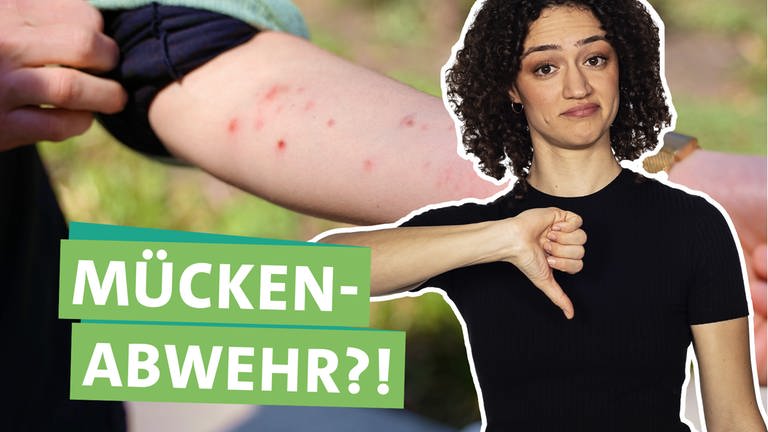 In der rechten Bildhälfte macht Ökocheckerin Maral eine Daumen-runter-Geste. Links steht "Mücken-Abwehr?!" geschrieben, unterlegt von farbigen Bändern. Im Hintergrund ist ein mit Mückenstichen zerstochener Arm zu sehen.