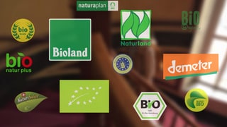 Auf einem unscharfen Hintergrund sind viele Bio-Siegel zu sehen. Unterandem die deutschen Öko-Siegel von Naturland, Bioland und Demeter, sowie das EU-Bio-Siegel, das deutsche Bio-Siegel und das Logo von Biokreis.